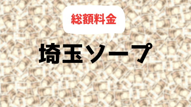 【埼玉】大宮・西川口ソープの総額一覧まとめ (料金が安い順)【2020年最新版】