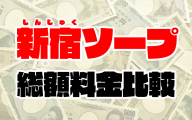 新宿ソープの総額 | 1番安い激安店から高級店まで料金を徹底比較【2020年7月最新】