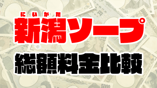 新潟ソープの総額 | 1番安い激安店から高級店まで料金を徹底比較【2020年8月最新】