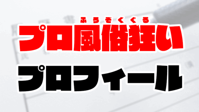 プロ風俗狂いのプロフィールや口コミの評価基準を徹底解説